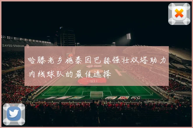 哈滕老乡施泰因巴赫强壮双塔助力内线球队的最佳选择