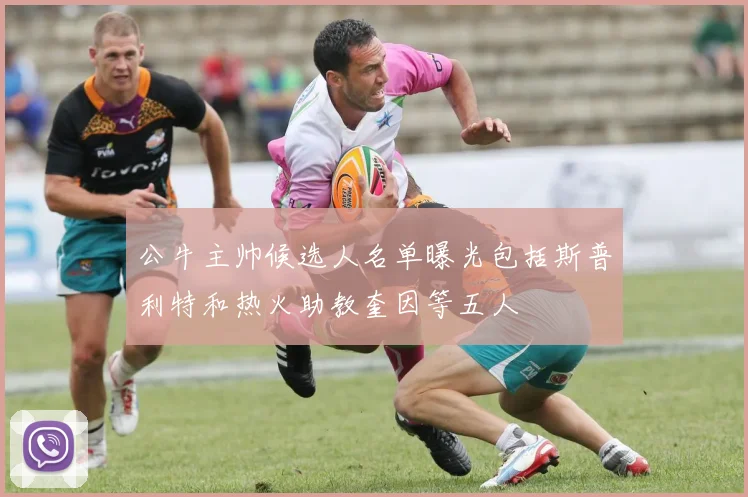 公牛主帅候选人名单曝光包括斯普利特和热火助教奎因等五人
